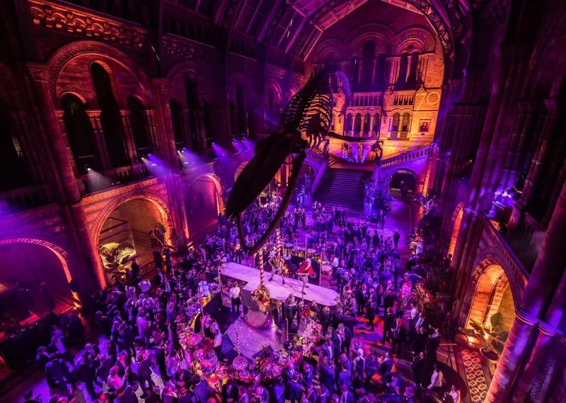 The Natural History Museum