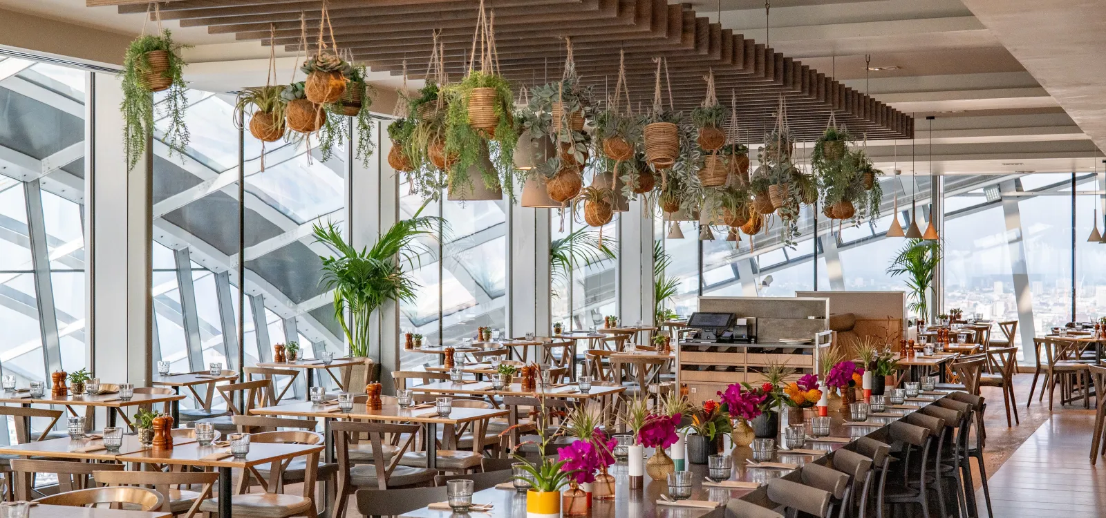 Darwin Brasserie