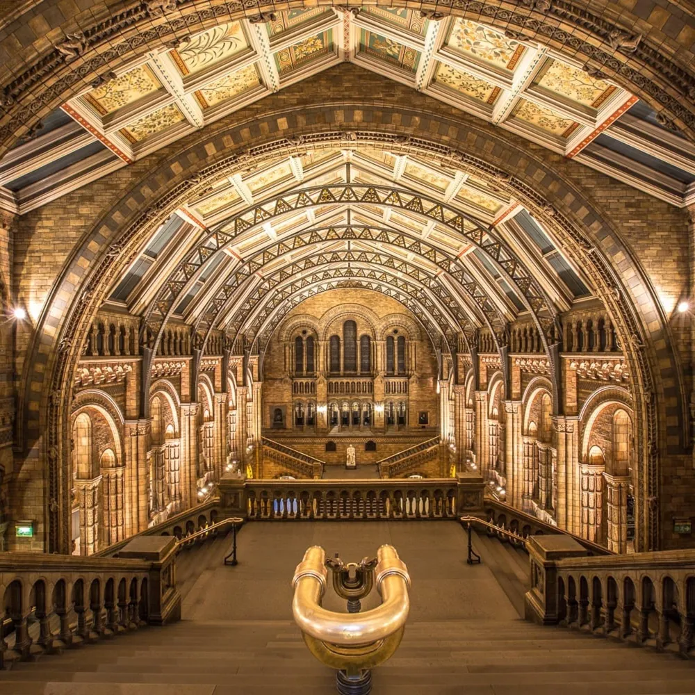 The Natural History Museum