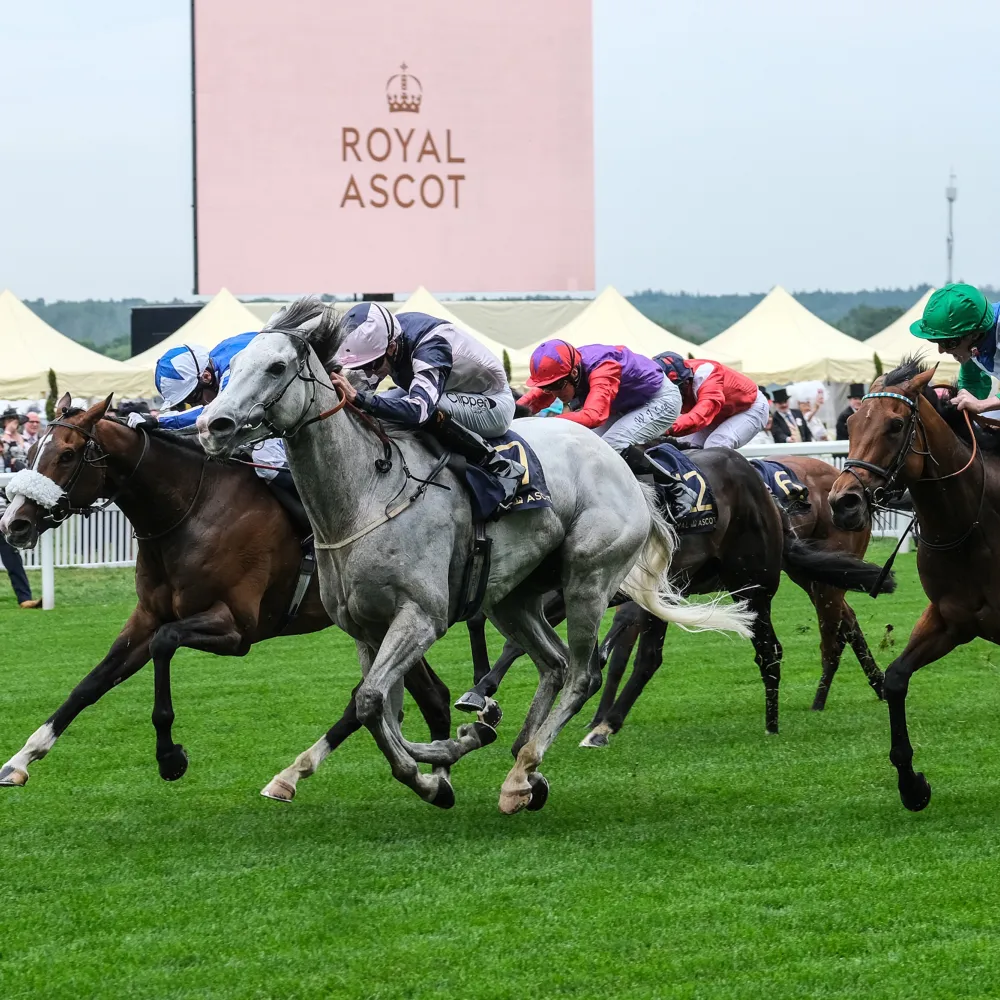 Royal Ascot