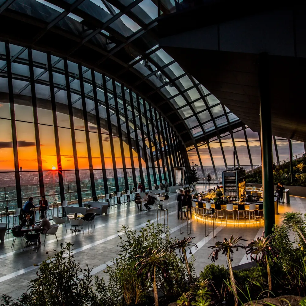 Rhubarb Sky Garden View Sunset