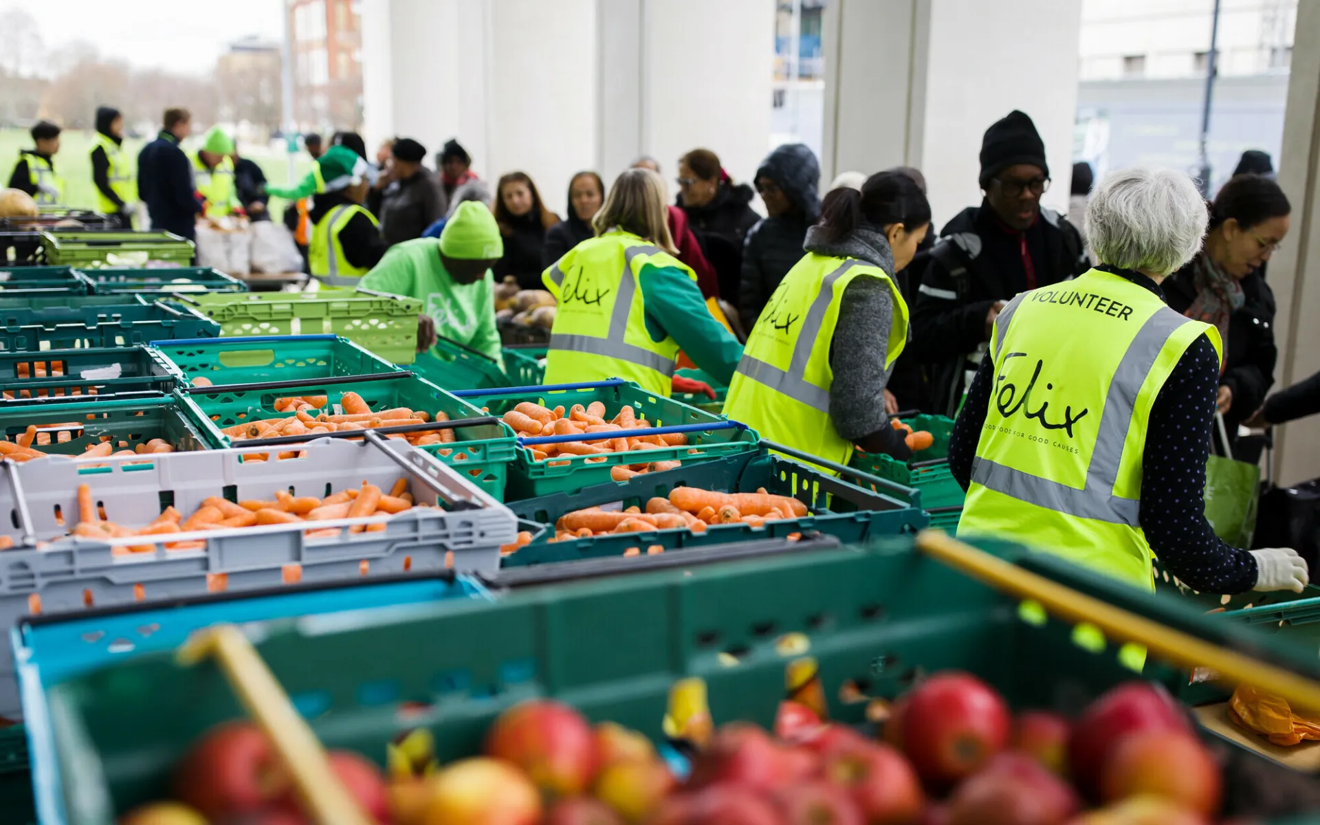 People packing boxes of vegetables