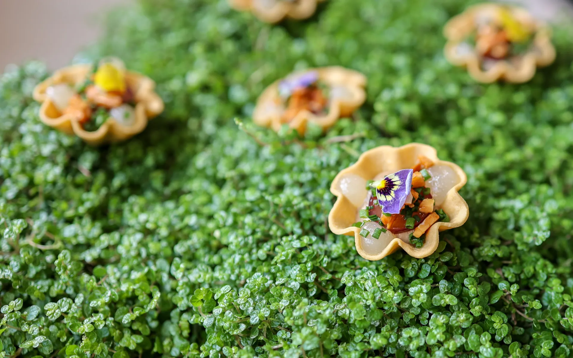 Sustainable Events & Catering Company - Rhubarb Hospitality