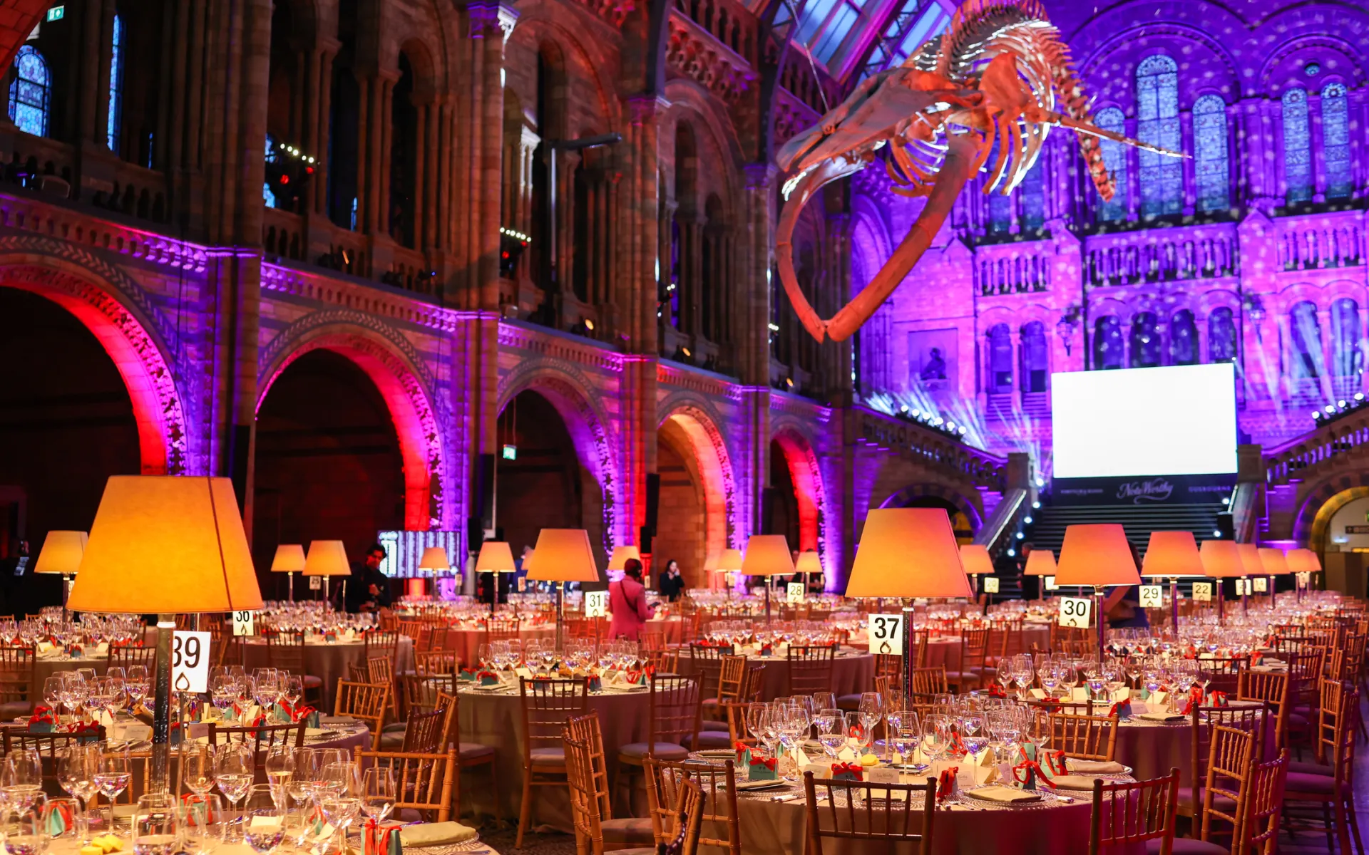 Dinner setup in Hintze Hall at the Natural History Museum, featuring round banquet tables, warm lighting, and the iconic suspended blue whale skeleton overhead