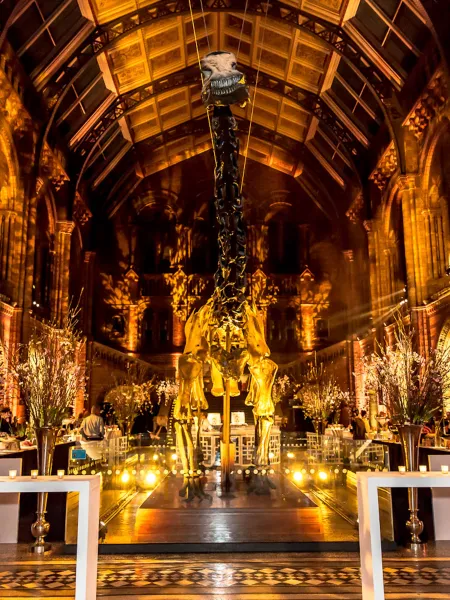 The Natural History Museum