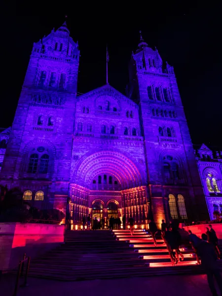 The Natural History Museum