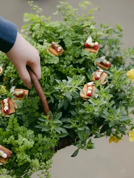 Green plant canapé tray basket 