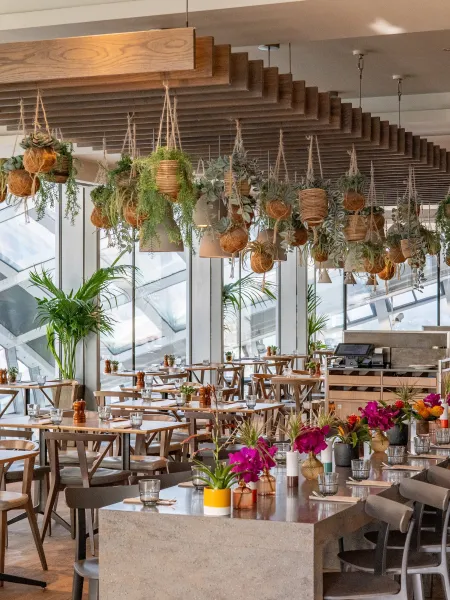 Sky Garden