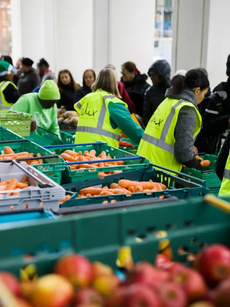 People packing boxes of vegetables
