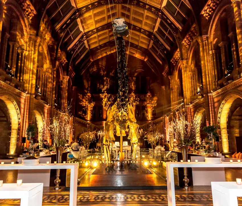 The Natural History Museum