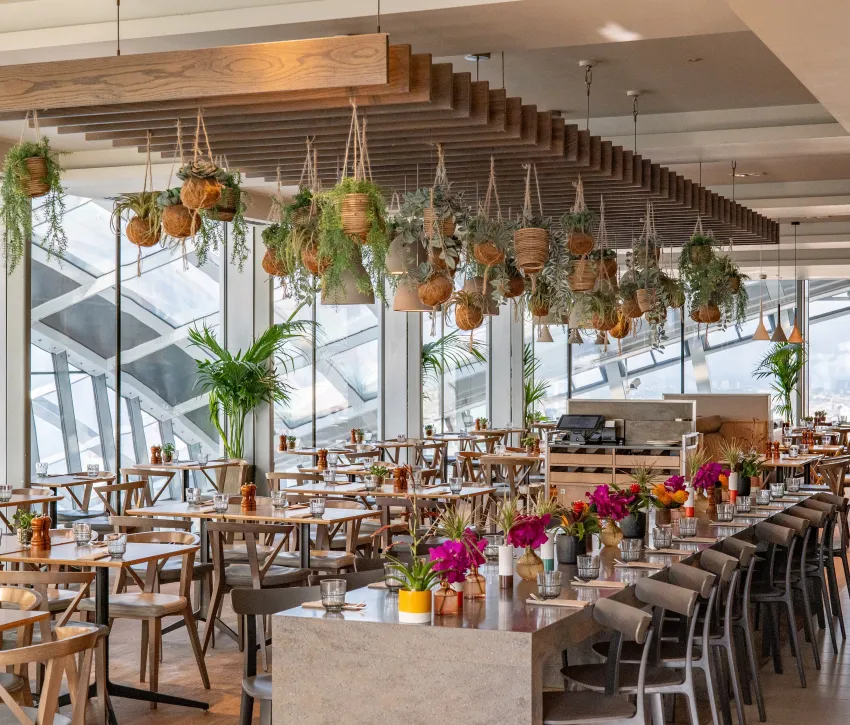 Darwin Brasserie