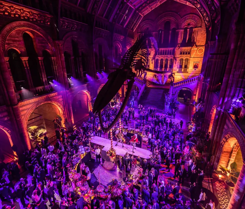 The Natural History Museum