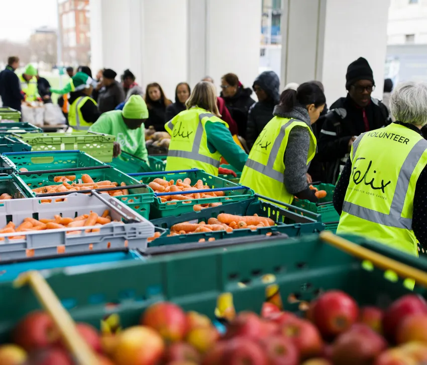 People packing boxes of vegetables