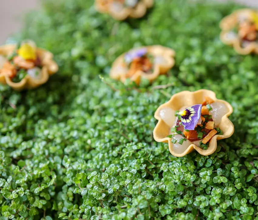 Sustainable Events & Catering Company - Rhubarb Hospitality