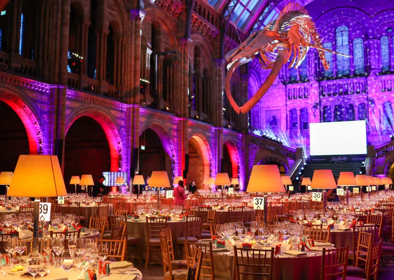 Dinner setup in Hintze Hall at the Natural History Museum, featuring round banquet tables, warm lighting, and the iconic suspended blue whale skeleton overhead