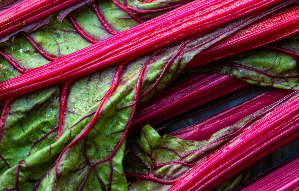 Rhubarb